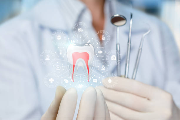 Professional Dental Services in Morocco, IN